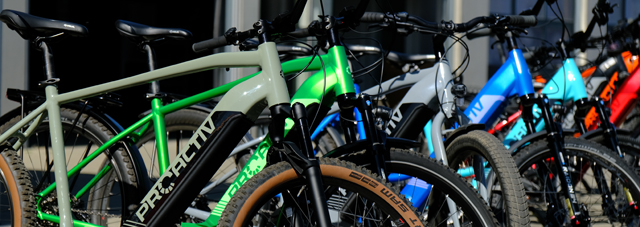 PRO ACTIV Pedelecs
